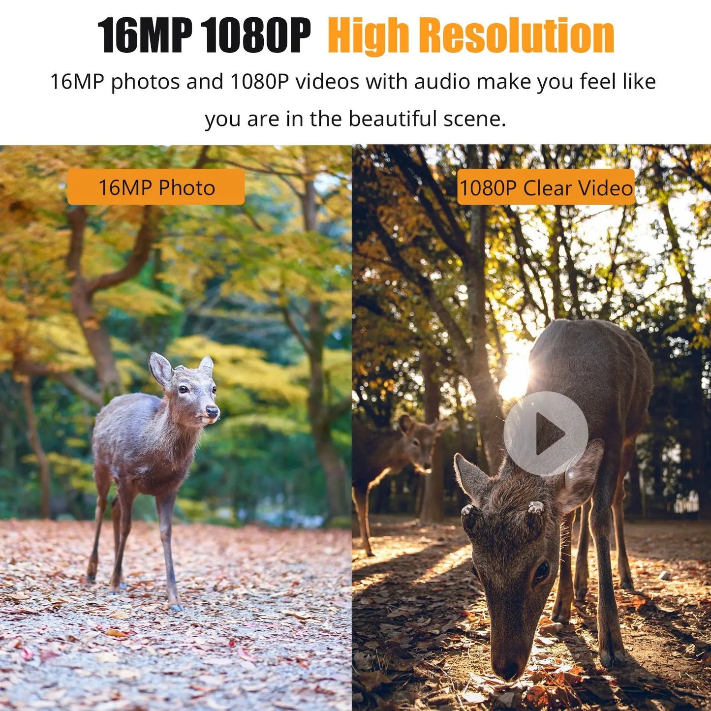 Night Vision Trail Camera, 16MP 1080p Hunting Game Camera with 0.6s Trigger and Infrared Night Vision for Wildlife & Deer Scouting