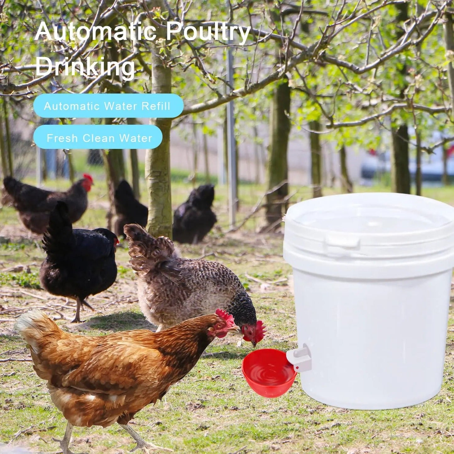 Automatic Chicken Waterer Cups, 10 Pack Poultry Water Cups with Drill Bit, Gravity-Fed No-Drip Drinker for Chickens, Ducks & Quail