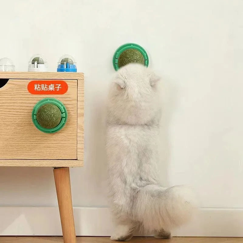 Catnip Balls for Cats, 4 Pack Natural Wall-Mounted Spinning Catnip Toy for Teeth Cleaning and Active Play