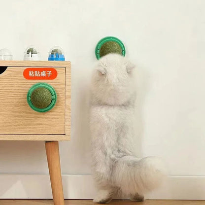 Catnip Balls for Cats, 4 Pack Natural Wall-Mounted Spinning Catnip Toy for Teeth Cleaning and Active Play