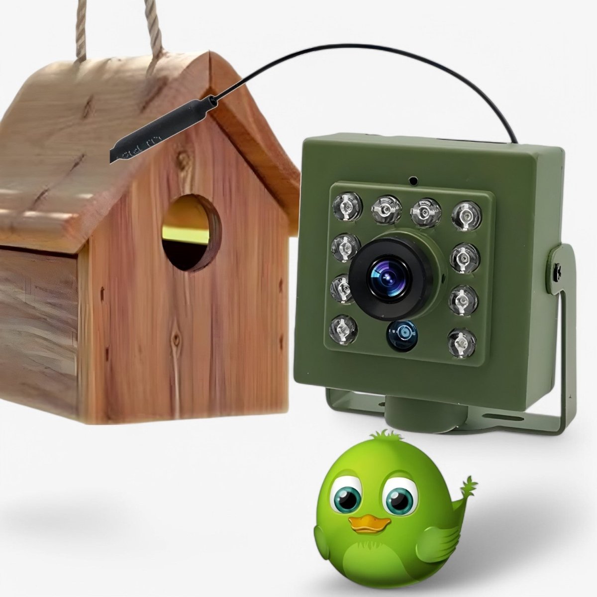 Weatherproof Wildlife Camera, Full HD 1080p Bird Watching Camera with Infrared Night Vision, Motion Detection & Remote Viewing