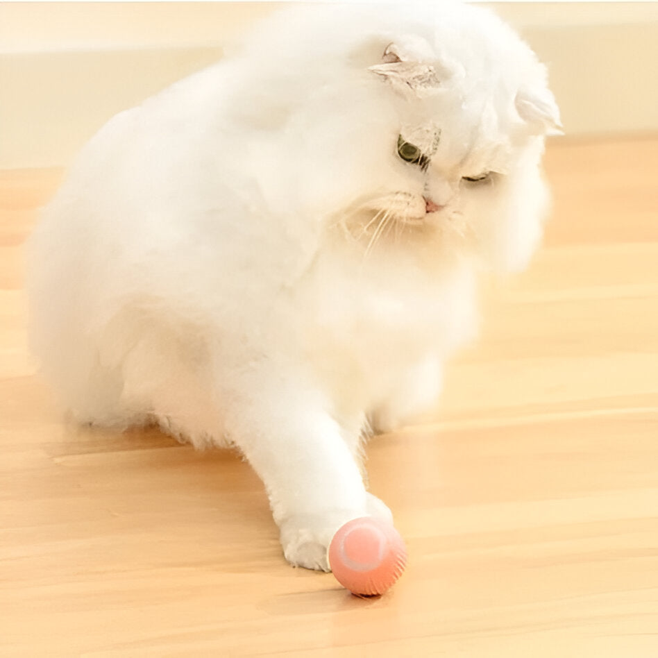 2-in-1 Interactive Cat Toy, Smart Automatic Moving Ball with Obstacle Avoidance for Indoor Cats and Kittens, 2 Colors