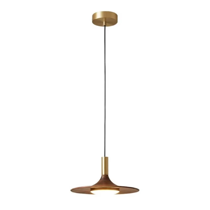 Flying saucer pendant light with its cord and brass-tone canopy on a white background.