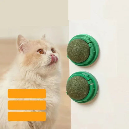 Catnip Balls for Cats, 4 Pack Natural Wall-Mounted Spinning Catnip Toy for Teeth Cleaning and Active Play