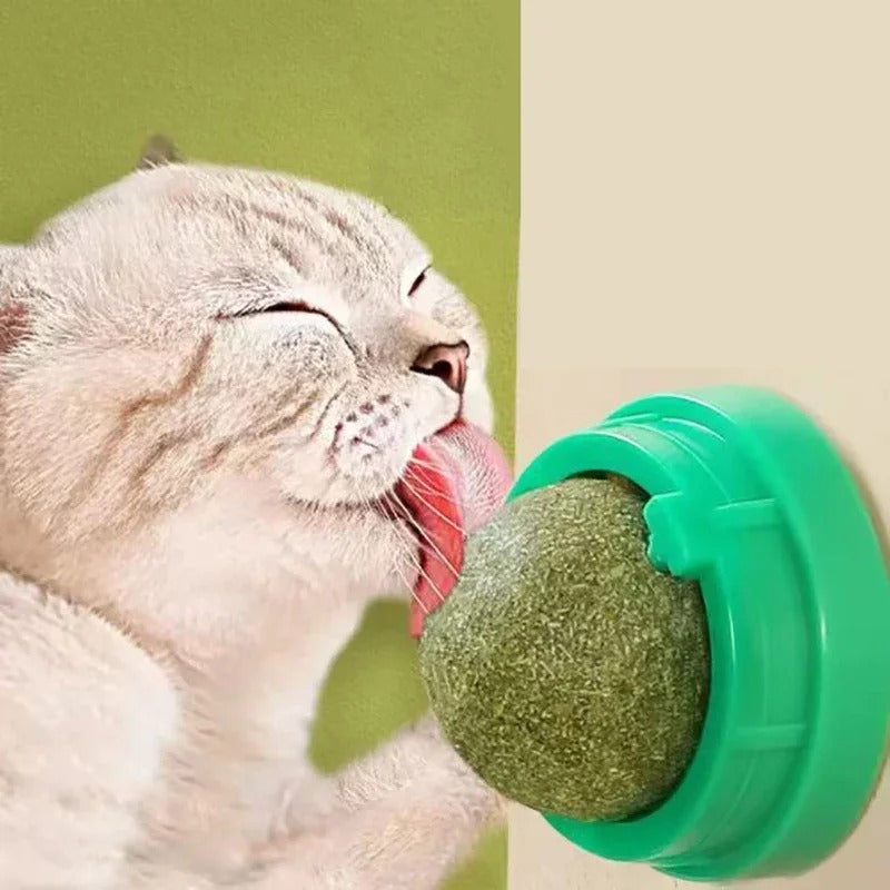 Catnip Balls for Cats, 4 Pack Natural Wall-Mounted Spinning Catnip Toy for Teeth Cleaning and Active Play