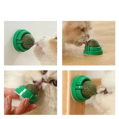 Catnip Balls for Cats, 4 Pack Natural Wall-Mounted Spinning Catnip Toy for Teeth Cleaning and Active Play