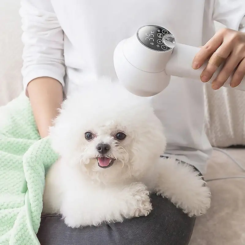 2-in-1 Pet Grooming Hair Dryer with Slicker Brush, Quiet Ionic Dog Blow Dryer and Detangling Brush with LED Touch Control