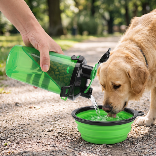 Collapsible Pet Water Bottle — outdoor walking path/park during a walk — real-scene lifestyle v4