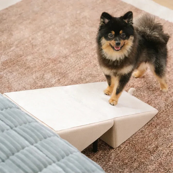 2-in-1 Convertible Dog Ramp and Step Stool, Foldable Non-Slip Pet Ramp for Couch, Bed and Car, Senior Dogs, 3 Colors