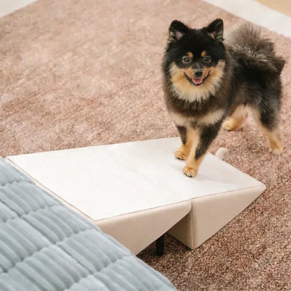 2-in-1 Convertible Dog Ramp and Step Stool, Foldable Non-Slip Pet Ramp for Couch, Bed and Car, Senior Dogs, 3 Colors