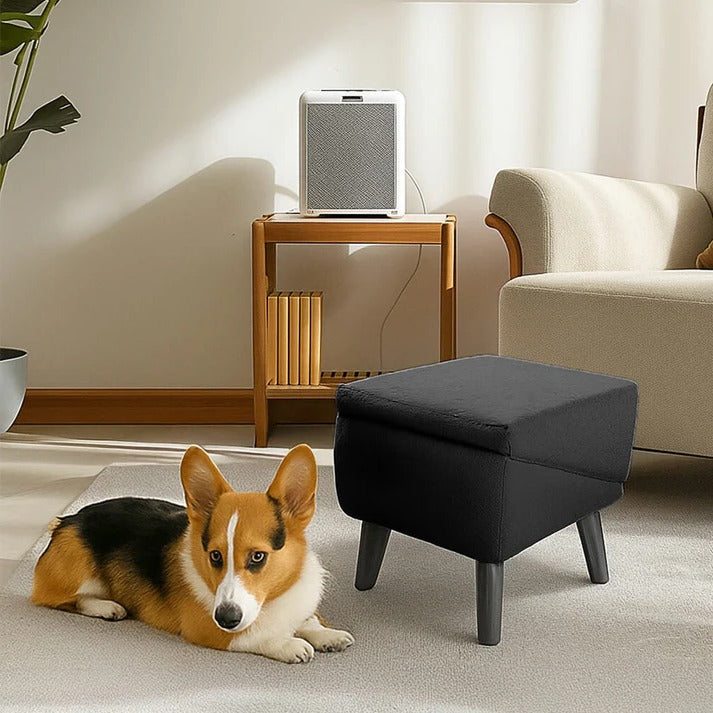 2-in-1 Convertible Dog Ramp and Step Stool, Foldable Non-Slip Pet Ramp for Couch, Bed and Car, Senior Dogs, 3 Colors