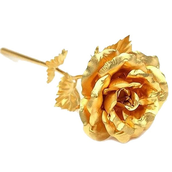 24K Gold Dipped Rose, Real Preserved Rose in Gift Box for Anniversary, Valentine's Day and Mother's Day Keepsake