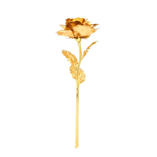 24K Gold Dipped Rose, Real Preserved Rose in Gift Box for Anniversary, Valentine's Day and Mother's Day Keepsake