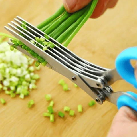 5-Blade Herb Scissors, Stainless Steel Multi-Blade Kitchen Shears for Cutting Fresh Herbs, Basil and Chives